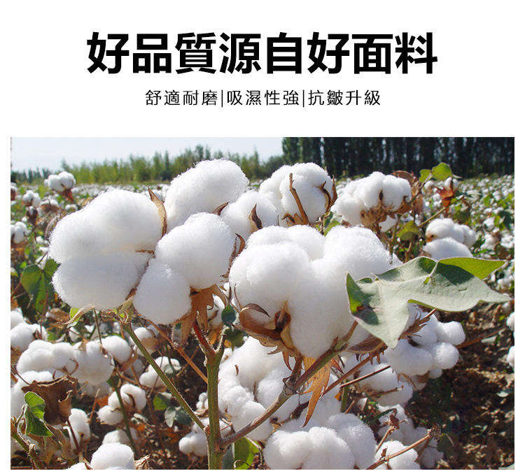 素材8.jpg